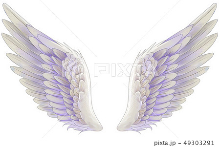 翼のイラスト素材 49303291 Pixta