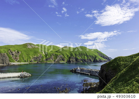 夏の礼文島と港 49303610