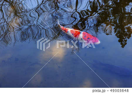 えび坂堀端Z18 えび坂堀端Z18 49303648