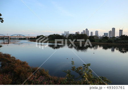 多摩川からの風景 49303761