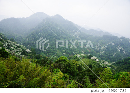 アブラギリ 山脈 山岳 49304785