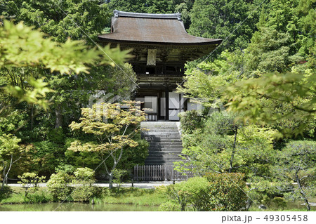 円成寺 楼門 浄土式庭園 奈良 円成寺 楼門 浄土式庭園 奈良 49305458