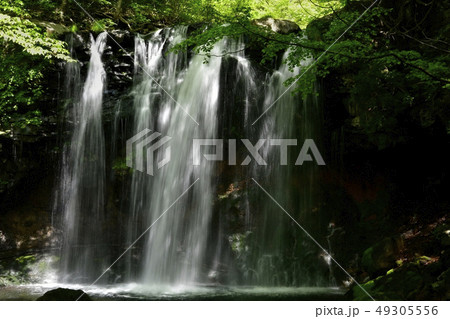 新緑の那須高原乙女滝 新緑の那須高原乙女滝 49305556