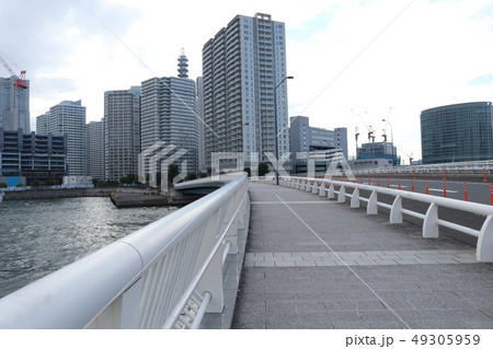 みなとみらい地区のみなとみらい大橋 49305959