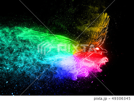 抽象的な鳥 抽象的な鳥 49306345