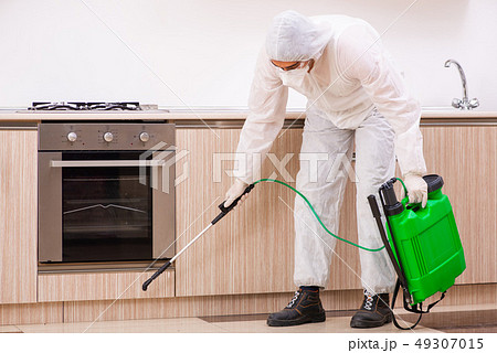 Professional contractor doing pest control at kitchen 49307015