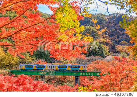 紅葉と水郡線 紅葉と水郡線 49307286