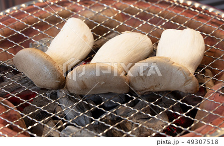 きのこの炭火焼き（炭焼き・網焼き・七輪・一人・宅飲み・バーベキュー・BBQ・焼肉 49307518