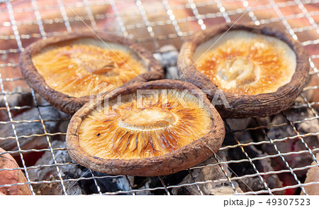 きのこの炭火焼き（炭焼き・網焼き・七輪・一人・宅飲み・バーベキュー・BBQ・焼肉 49307523