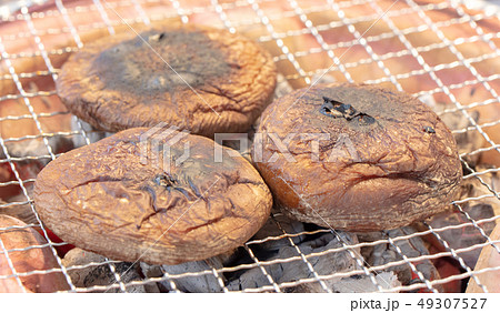 きのこの炭火焼き(炭焼き・網焼き・七輪・一人・宅飲み・バーベキュー・BBQ・焼肉 きのこの炭火焼き(炭焼き・網焼き・七輪・一人・宅飲み・バーベキュー・BBQ・焼肉 49307527