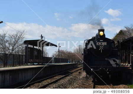 真岡鉄道　SL　C11　西田井 49308056