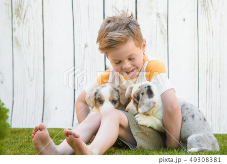 Little boy and corgi puppies Little boy and corgi puppies 49308381