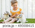 Little boy and corgi puppies 49308415