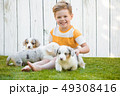 Little boy and corgi puppies 49308416