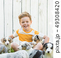 Little boy and corgi puppies 49308420