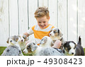 Little boy and corgi puppies 49308423