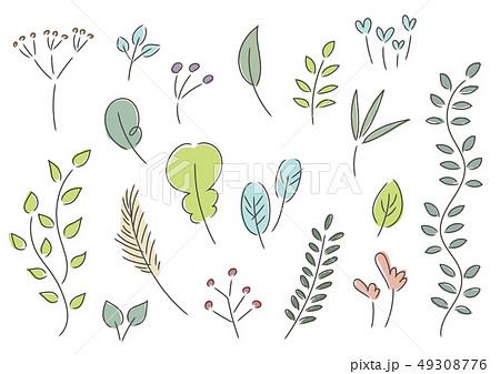 ボタニカル01のイラスト素材