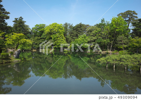 兼六園の霞ヶ池と蓬莱島 49309094