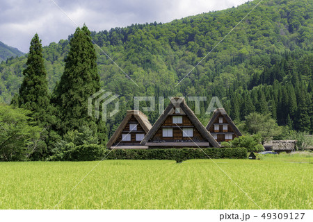 夏の白川郷の写真素材