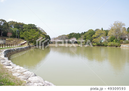 鏡山(池) 鏡山(池) 49309593