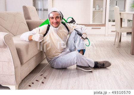 Pest control contractor working in the flat Pest control contractor working in the flat 49310570
