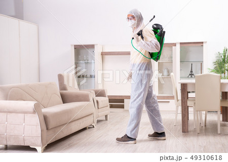 Pest control contractor working in the flat Pest control contractor working in the flat 49310618