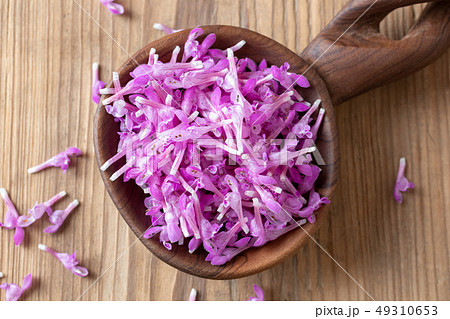 Fresh purple dead-nettle flowers on a spoon, top Fresh purple dead-nettle flowers on a spoon, top 49310653