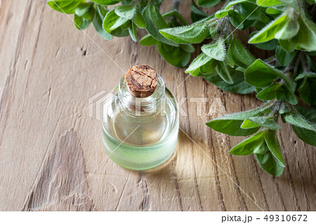 A bottle of oregano essential oil A bottle of oregano essential oil 49310672