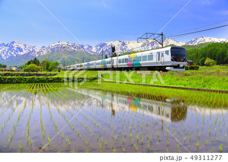 初夏の北アルプスと特急あずさ号 初夏の北アルプスと特急あずさ号 49311277