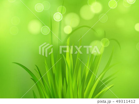 Frash Spring green grass background. Vector illustration Frash Spring green grass background. Vector illustration 49311412