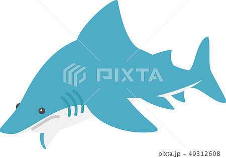 サメ 49312608