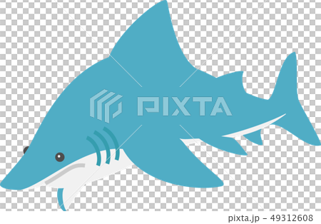 サメ 49312608
