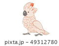 オオバタン 49312780