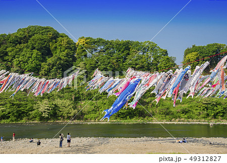 泳げ鯉のぼり 相模川 の写真素材