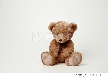 動物 人形 子供 49313199