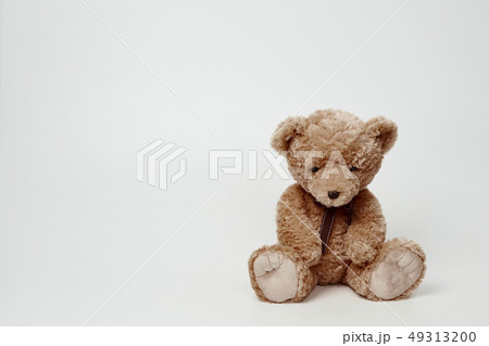 動物 人形 子供 49313200