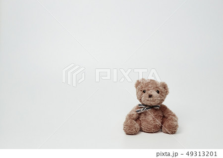 動物 人形 子供 49313201