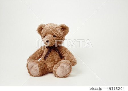 動物 人形 子供 49313204