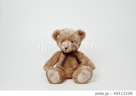 動物 人形 子供 49313206