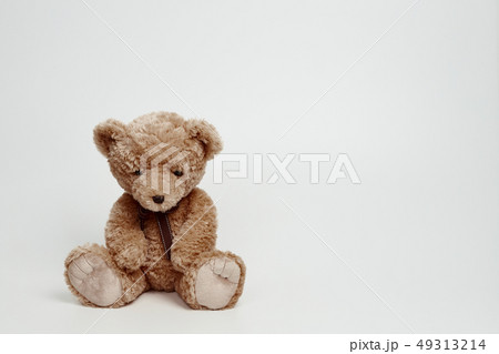動物 人形 子供 49313214
