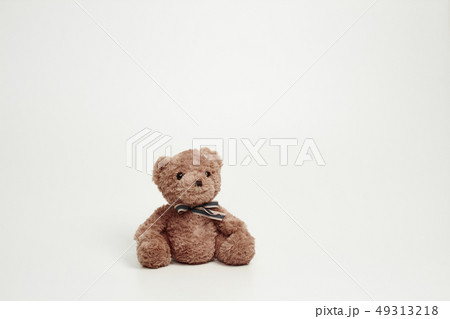 動物 人形 子供 49313218