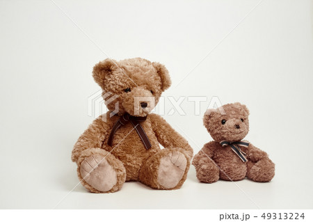 動物 人形 子供 49313224