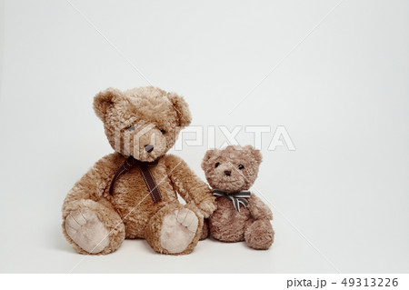 動物 人形 子供 49313226