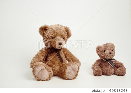 動物 人形 子供 49313243