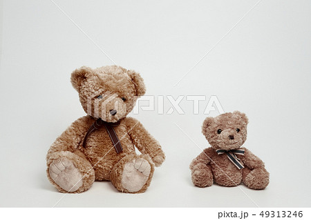 動物 人形 子供 49313246