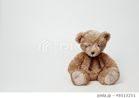 動物 人形 子供 49313251