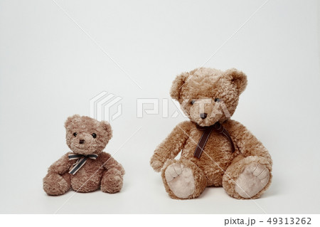 動物 人形 子供 49313262
