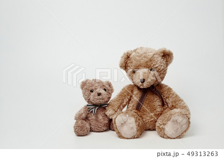 動物 人形 子供 49313263
