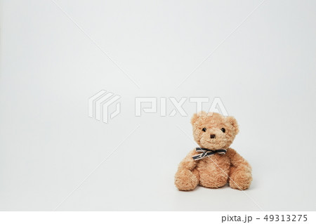 動物 人形 子供 49313275