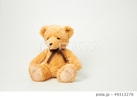 動物 人形 子供 49313276
